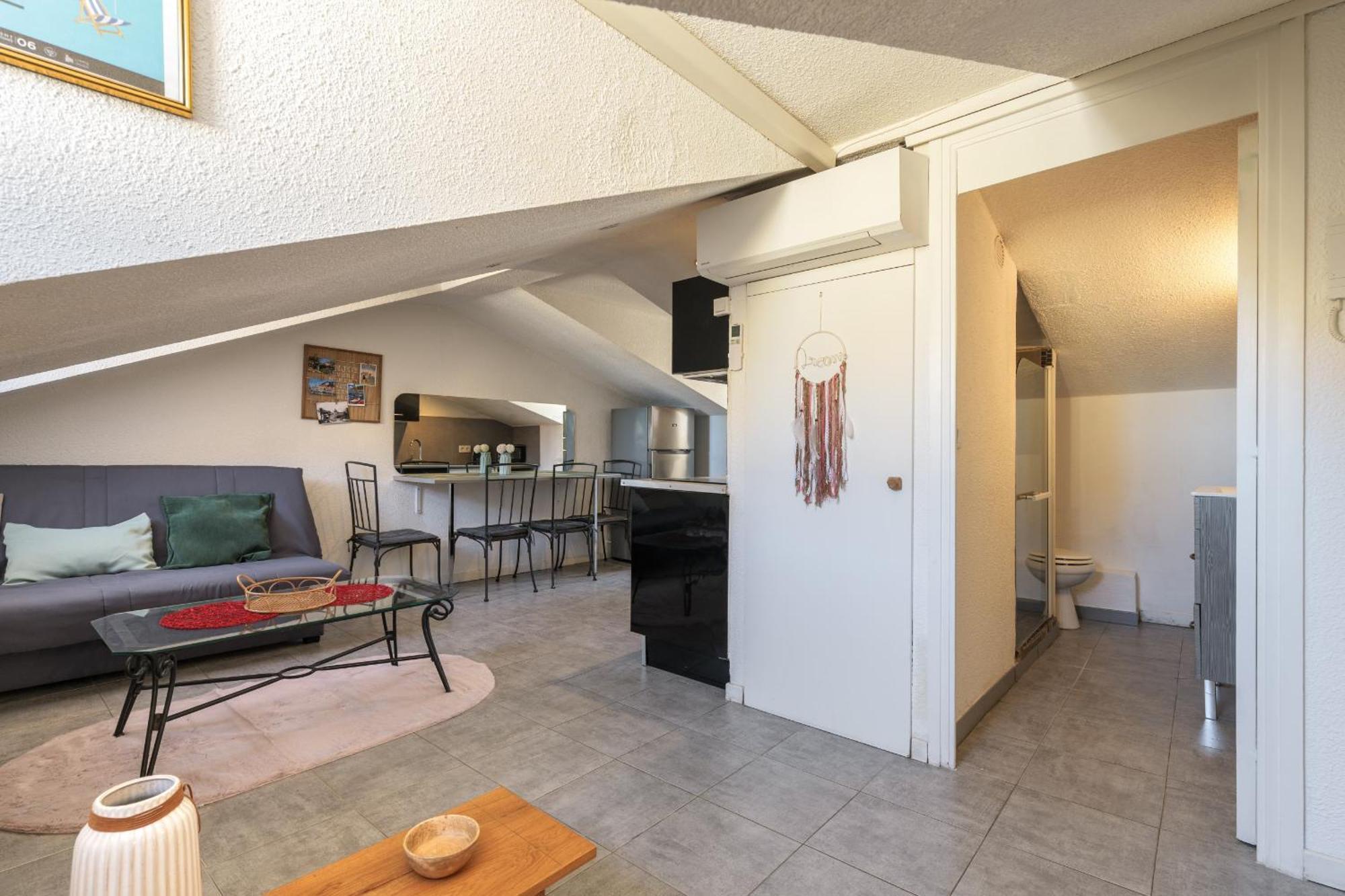 Appartement Vieux Garibaldi *